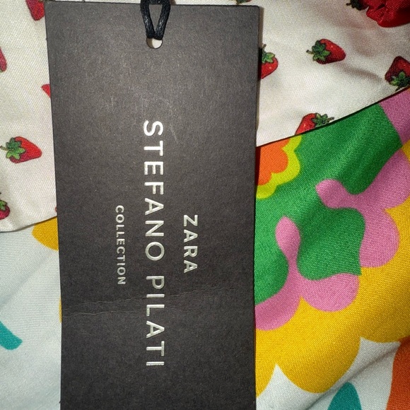 Zara Stefano Pilati Strawberry print Size Medium NWT pajama bottoms or pants - Picture 3 of 6